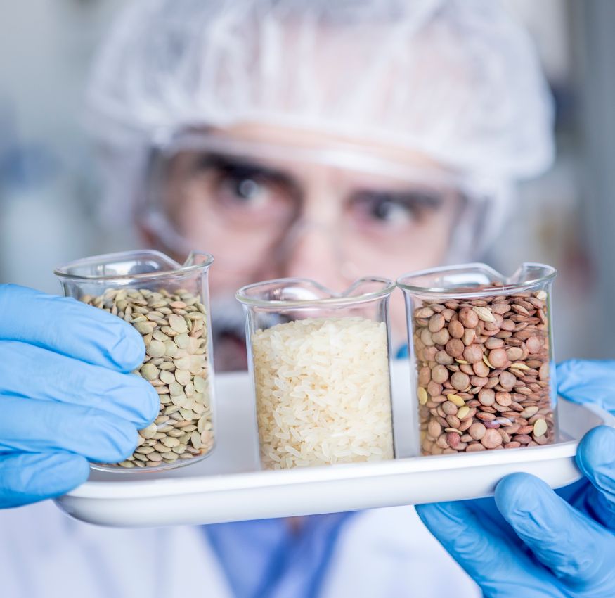 Shorter innovation cycles