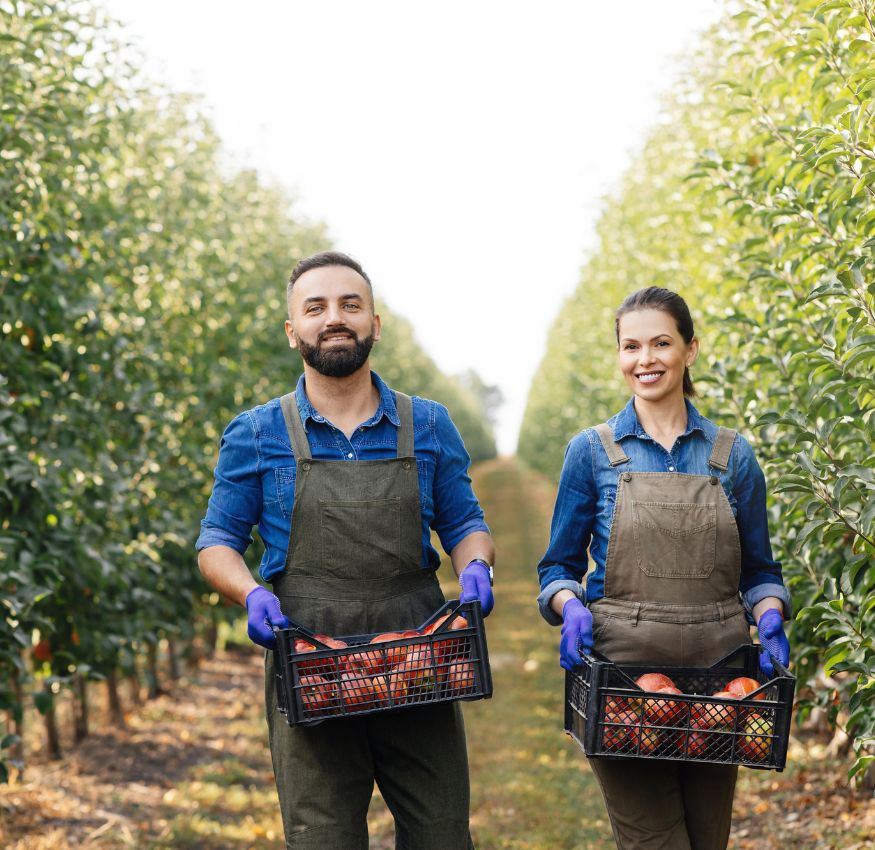 Increased revenue through strategic alliances